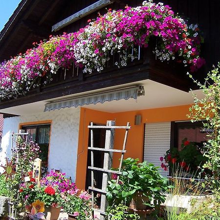 Haus Schmid Lägenhet Innernzell Exteriör bild